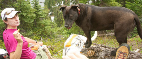 Euk_hike-500x207